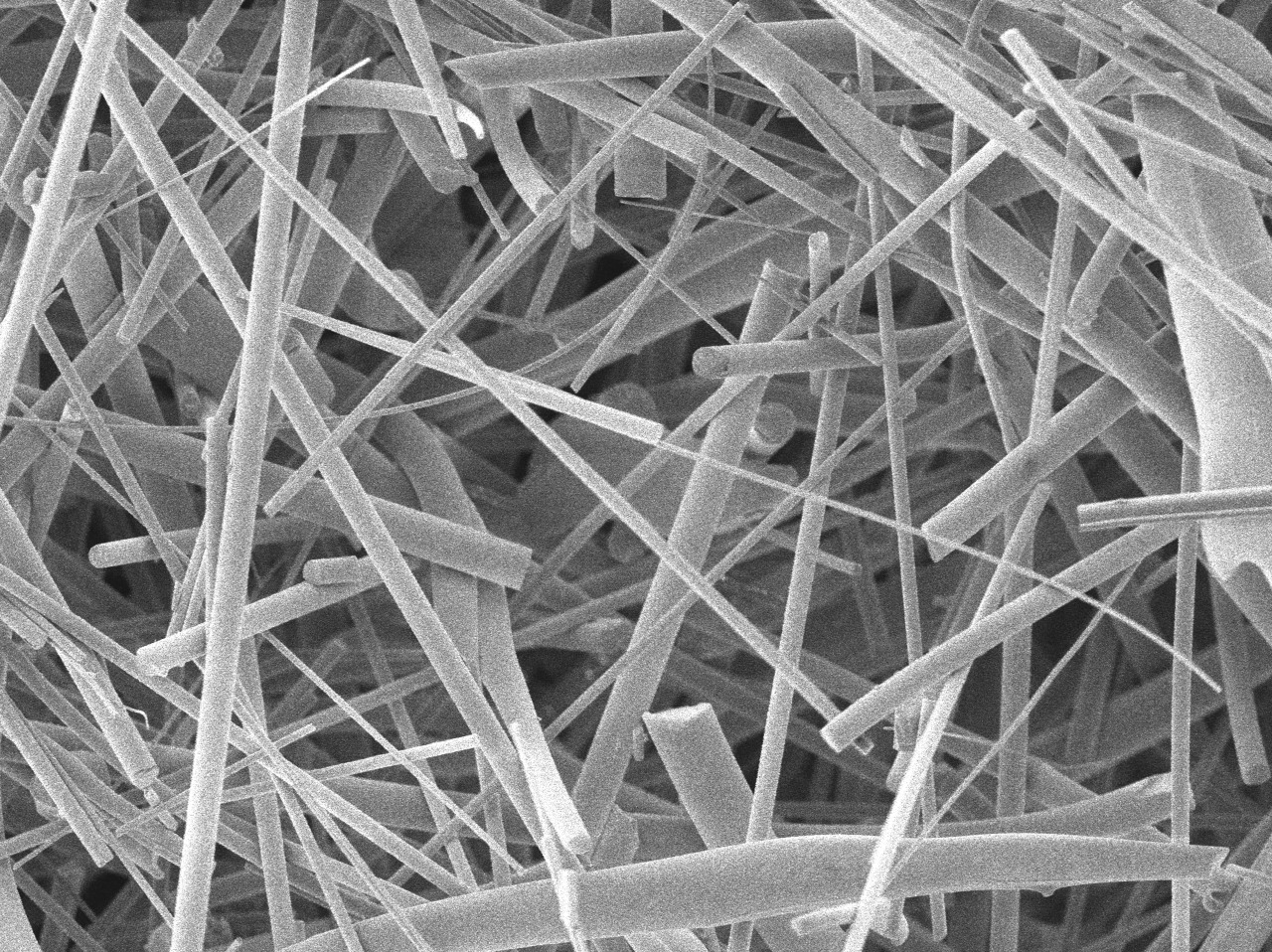 Microscopic view of mineral fibres